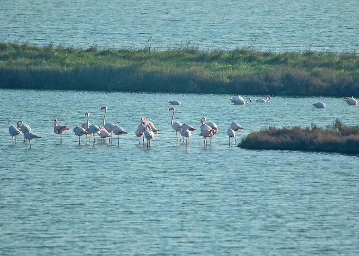 Miami 丽都斯皮纳